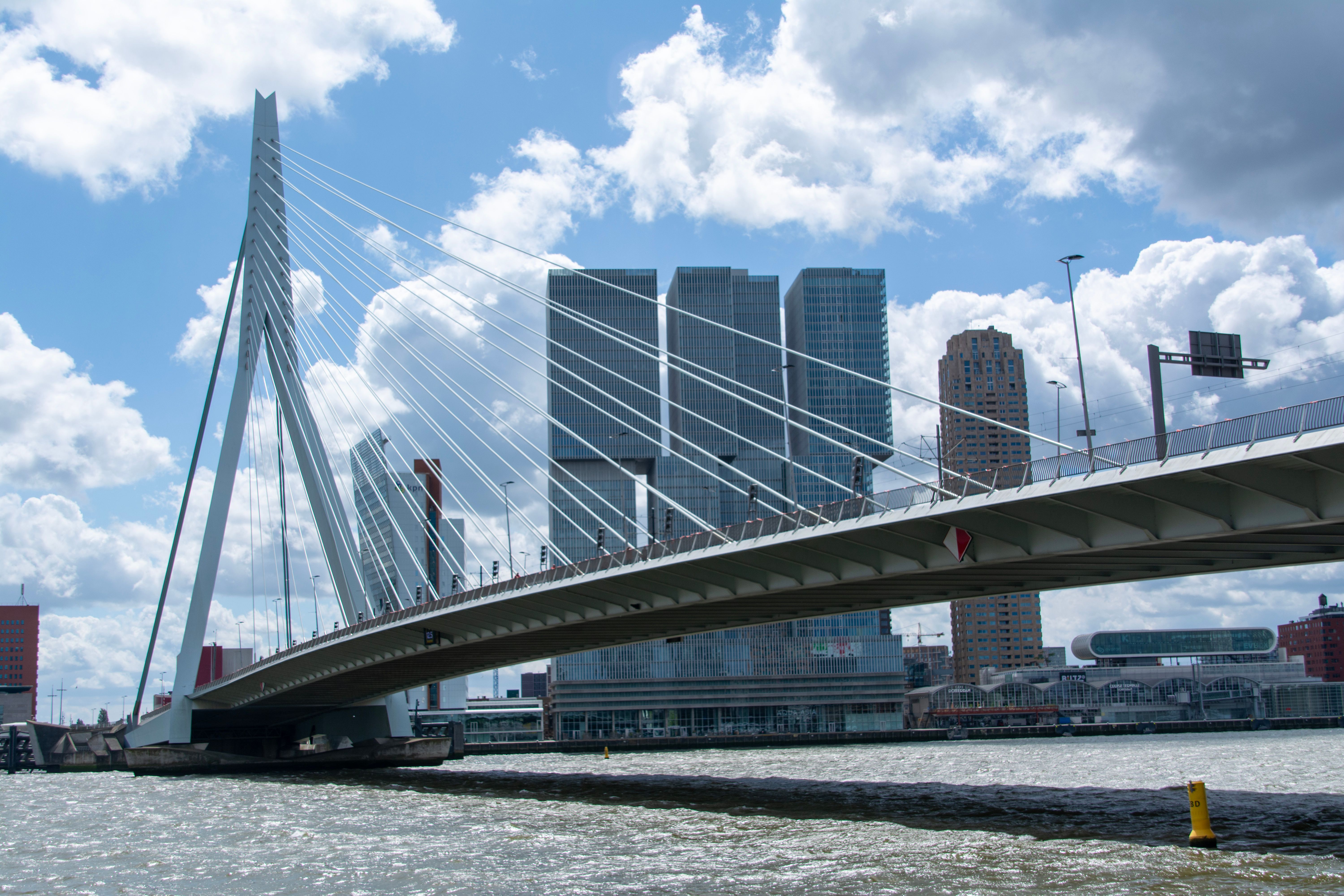 Erasmus Bridge and the Rotterdam business skyline